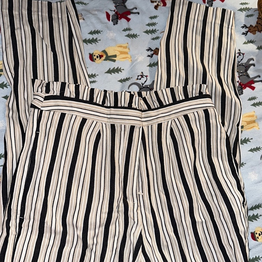 Express pants